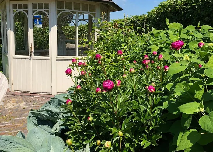 Deichhaus Am Greetsieler Hafen 